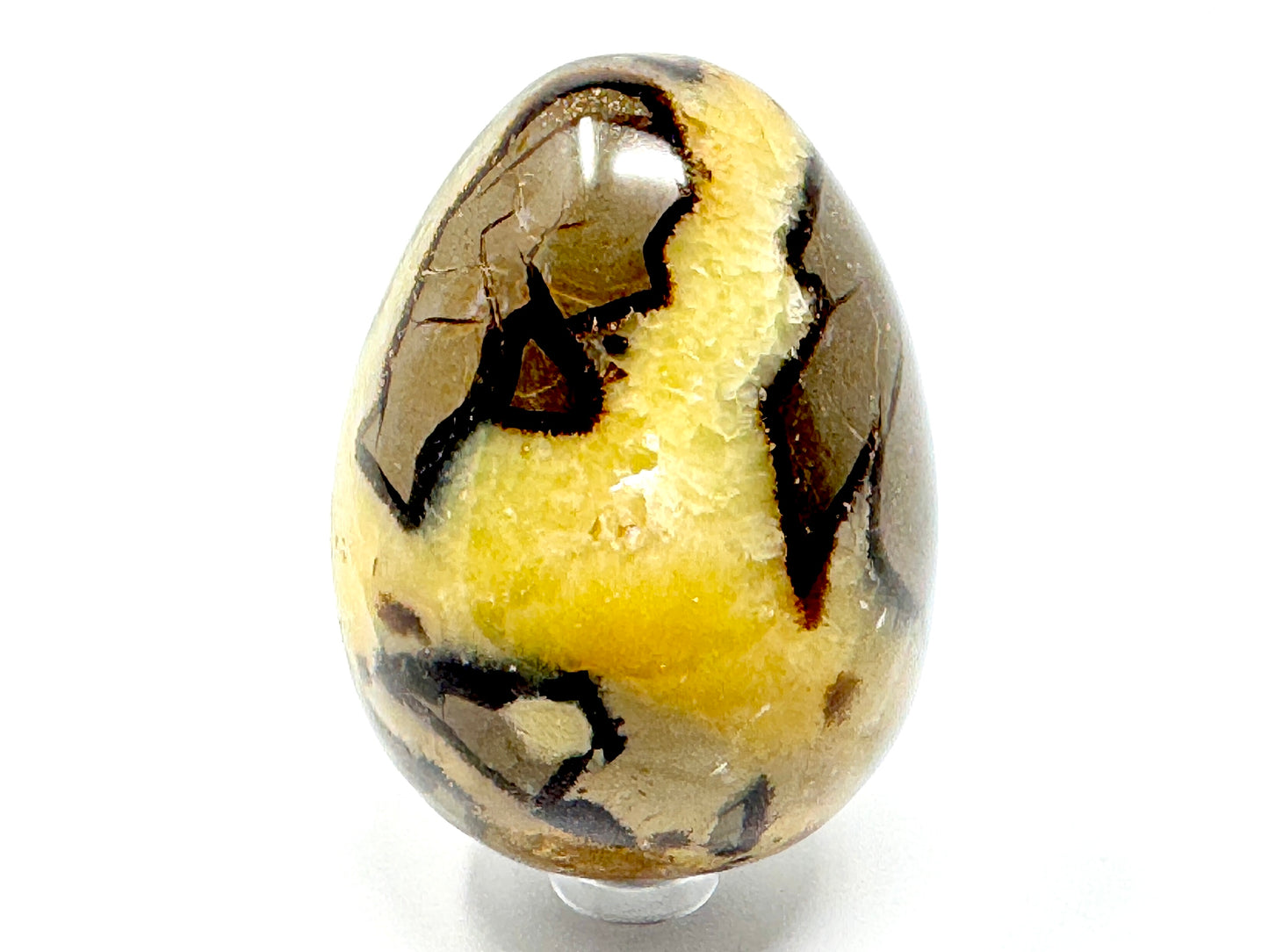 Yellow Septarian Egg Crystal 7.3cm