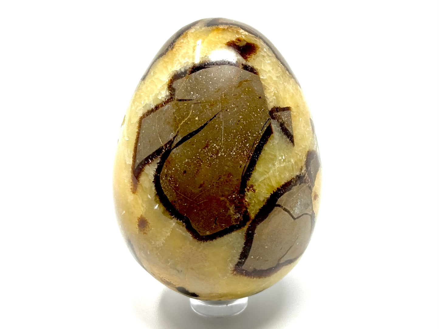 Yellow Septarian Egg Crystal 7.3cm