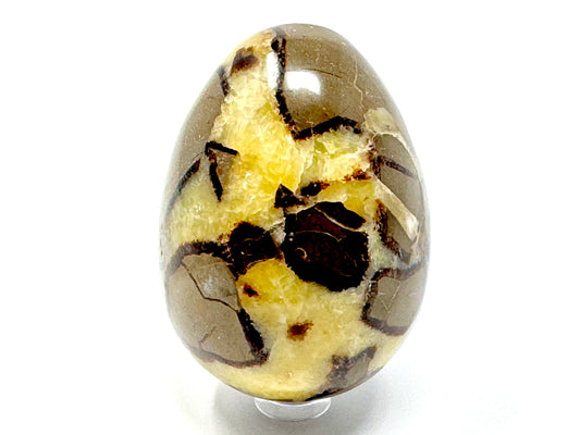 Yellow Septarian Egg Crystal 7.3cm