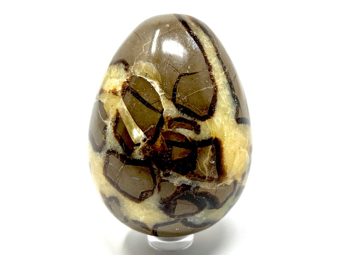 Yellow Septarian Egg Crystal 7.3cm