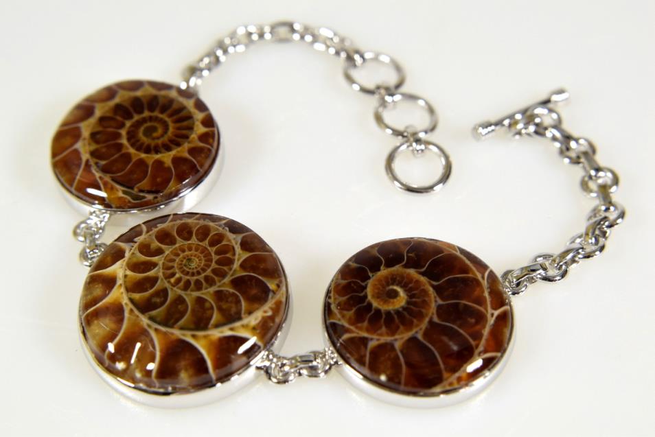 Ammonite Bracelet 25grams