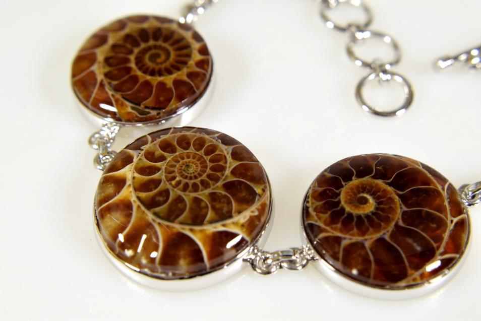 Ammonite Bracelet 25grams