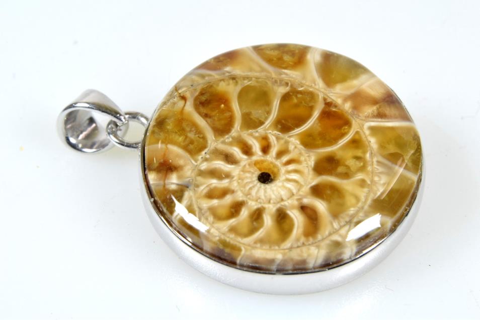 Ammonite Round Cabochon Pendant 8grams