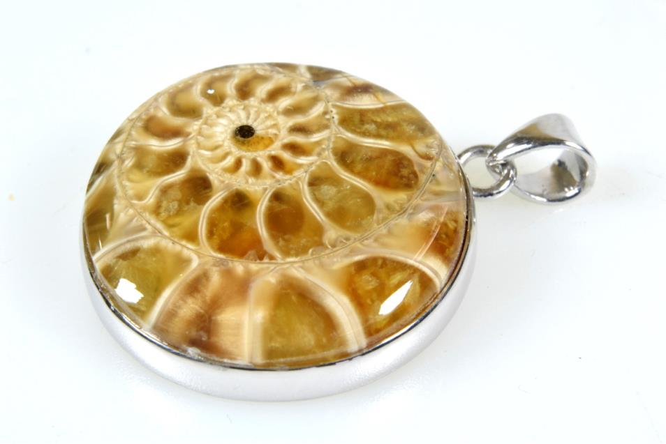 Ammonite Round Cabochon Pendant 8grams