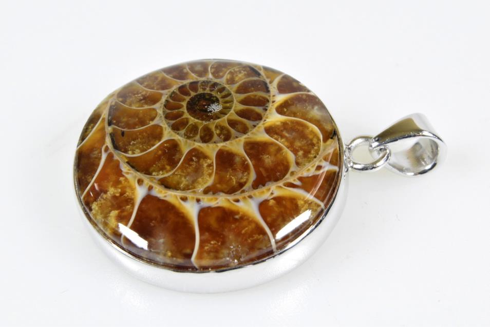 Ammonite Round Cabochon Pendant 7.9grams