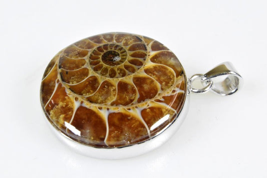 Ammonite Round Cabochon Pendant 7.9grams