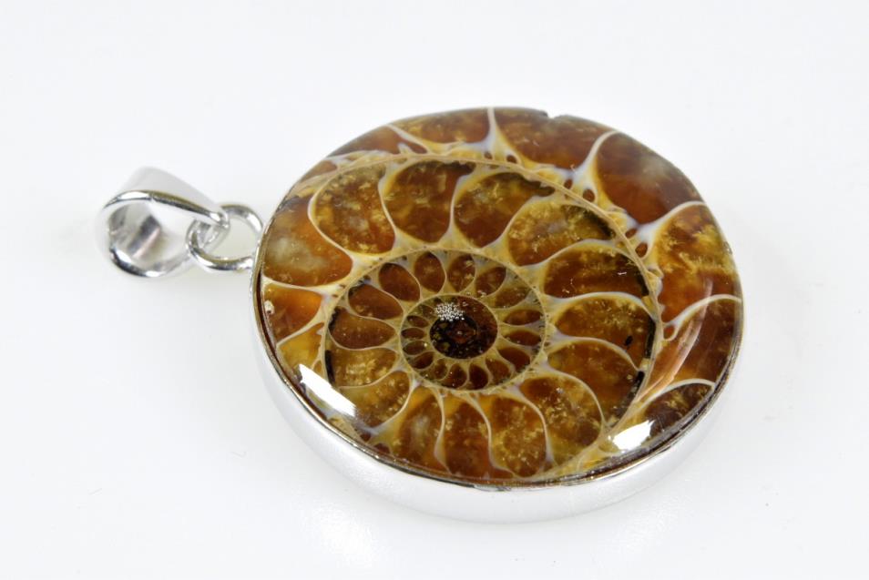 Ammonite Round Cabochon Pendant 7.9grams