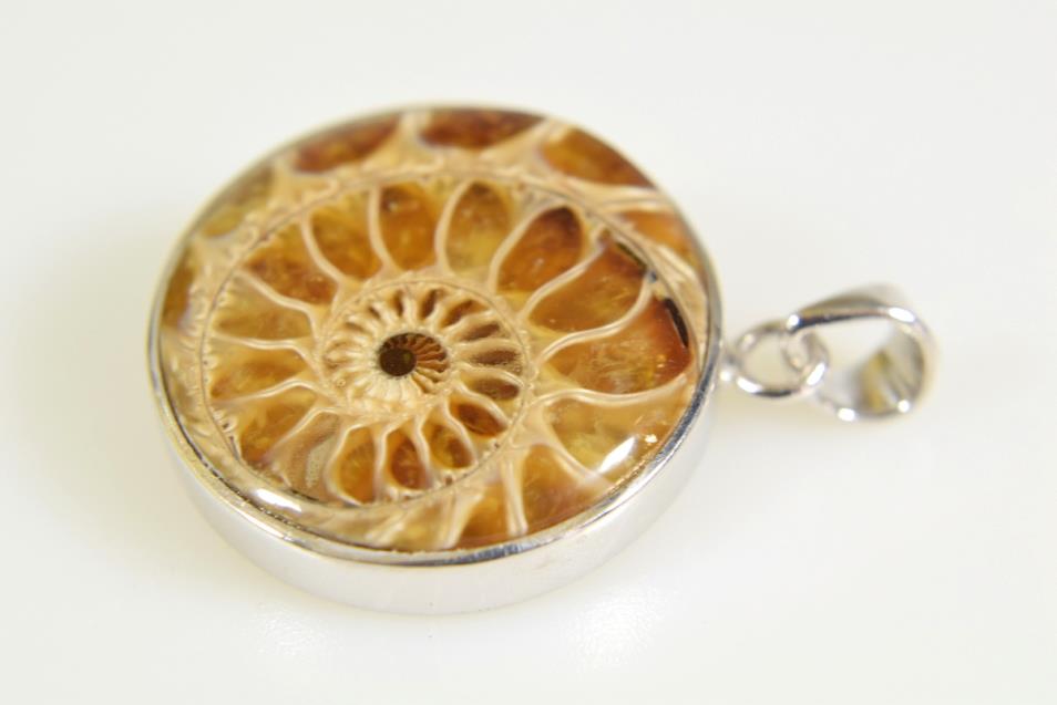 Ammonite Round Cabochon Pendant 8.2grams