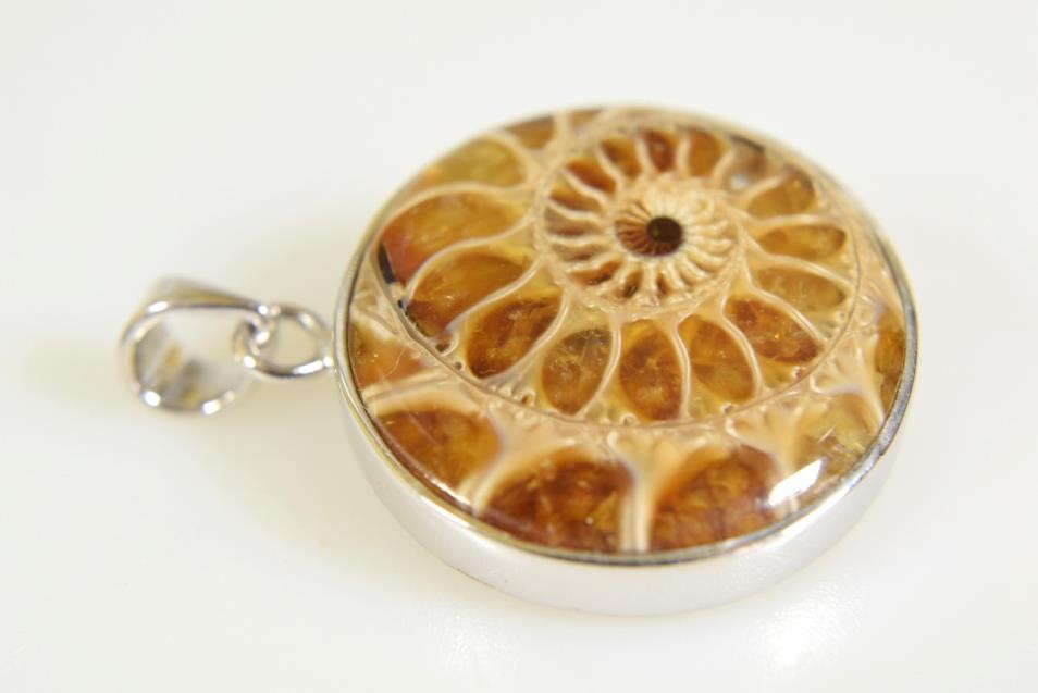 Ammonite Round Cabochon Pendant 8.2grams