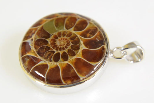 Ammonite Round Cabochon Pendant 10grams