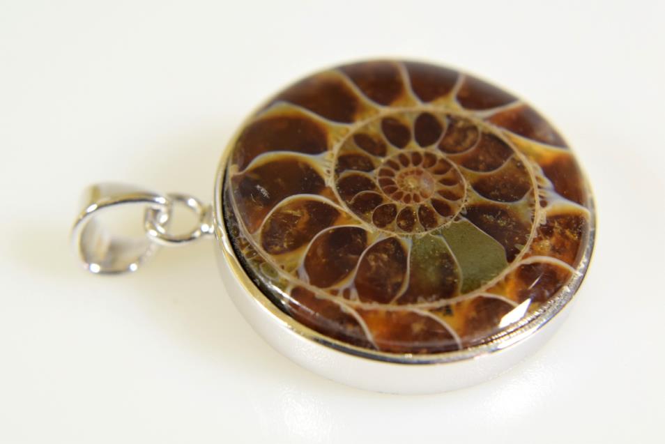 Ammonite Round Cabochon Pendant 10grams