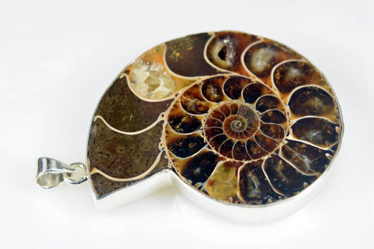 Large Ammonite Pendant Silver-Set Cut Half 39grams