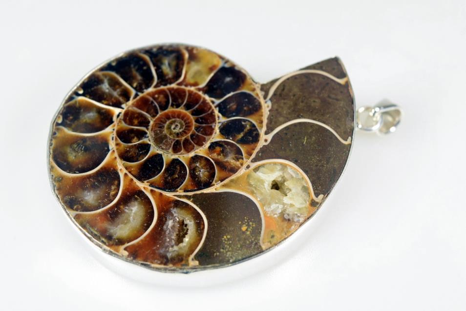 Large Ammonite Pendant Silver-Set Cut Half 39grams