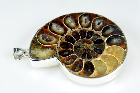 Large Ammonite Pendant Silver-Set Cut Half 38grams