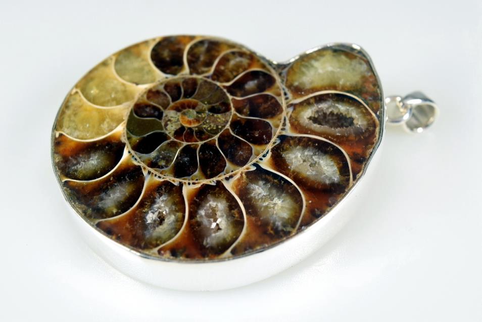 Large Ammonite Pendant Silver-Set Cut Half 38grams