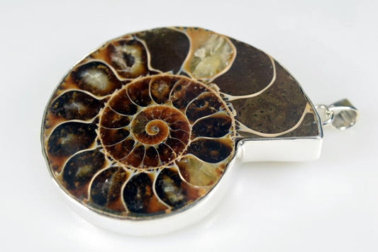 Large Ammonite Pendant Silver-Set Cut Half 41grams