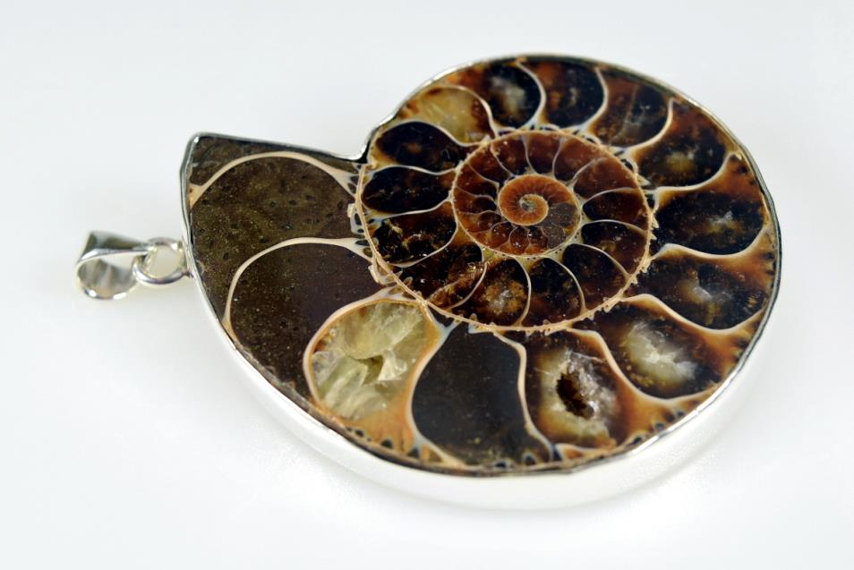 Large Ammonite Pendant Silver-Set Cut Half 41grams