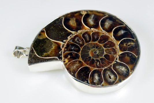 Large Ammonite Pendant Silver-Set Cut Half 40.5grams