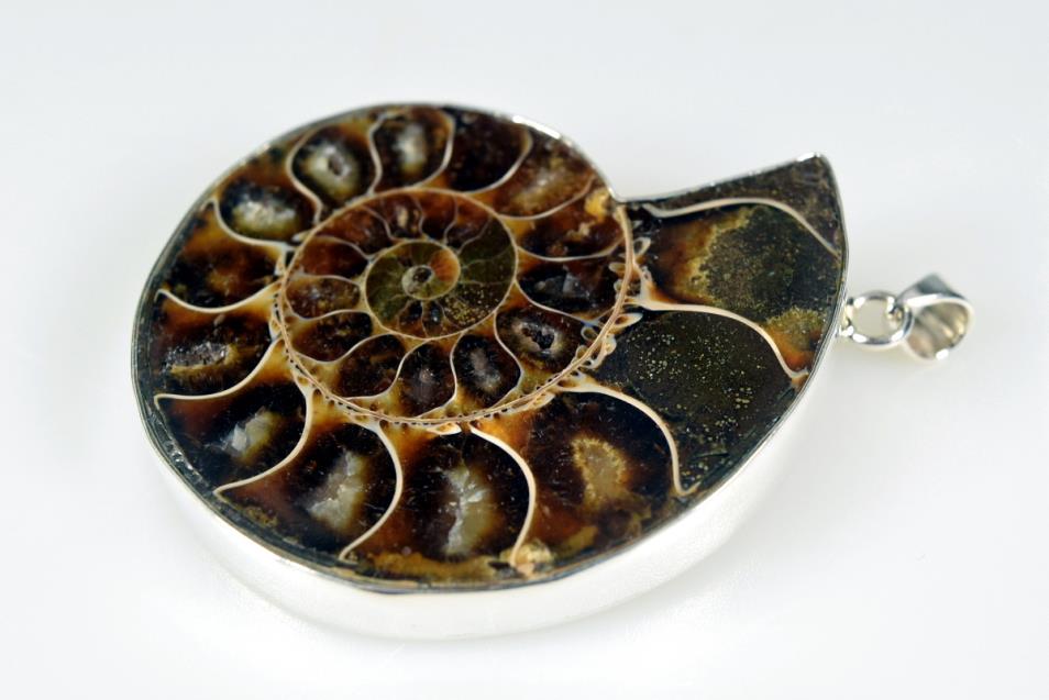 Large Ammonite Pendant Silver-Set Cut Half 40.5grams