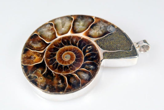 Large Ammonite Pendant Silver-Set Cut Half 39.5grams