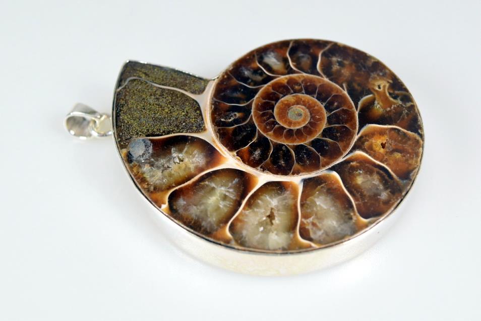 Large Ammonite Pendant Silver-Set Cut Half 39.5grams