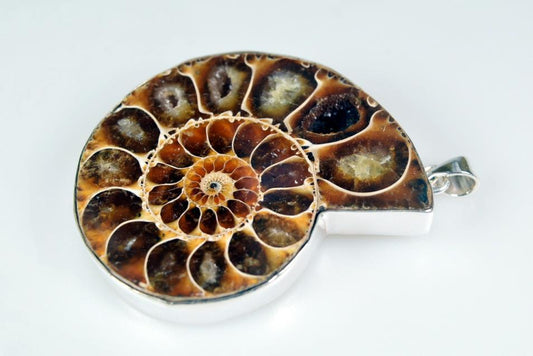 Large Ammonite Pendant Silver-Set Cut Half 41.5grams