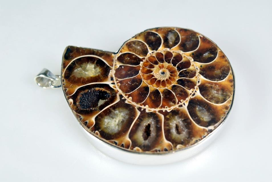 Large Ammonite Pendant Silver-Set Cut Half 41.5grams