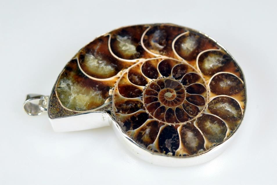 Large Ammonite Pendant Silver-Set Cut Half 42grams