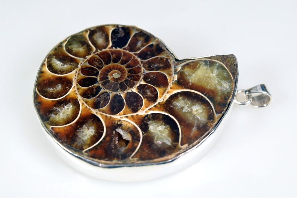 Large Ammonite Pendant Silver-Set Cut Half 42grams