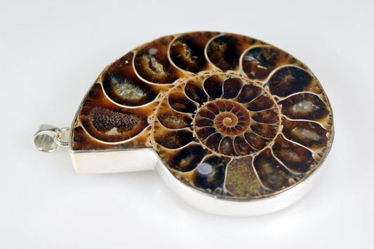 Large Ammonite Pendant Silver-Set Cut Half 44grams