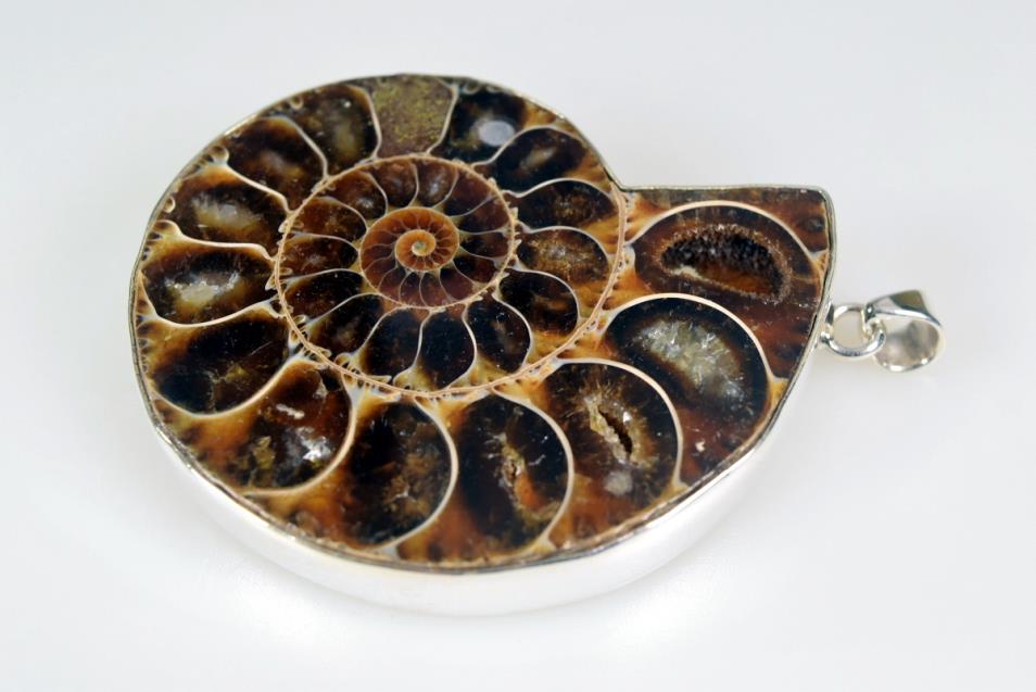 Large Ammonite Pendant Silver-Set Cut Half 44grams