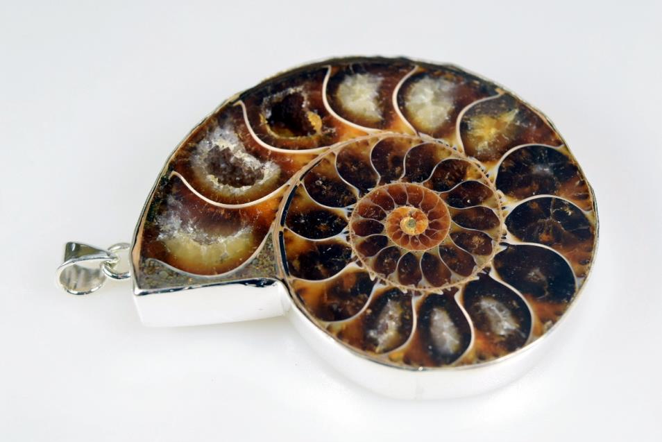 Large Ammonite Pendant Silver-Set Cut Half 42.5grams