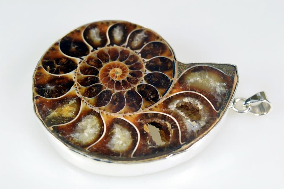 Large Ammonite Pendant Silver-Set Cut Half 42.5grams