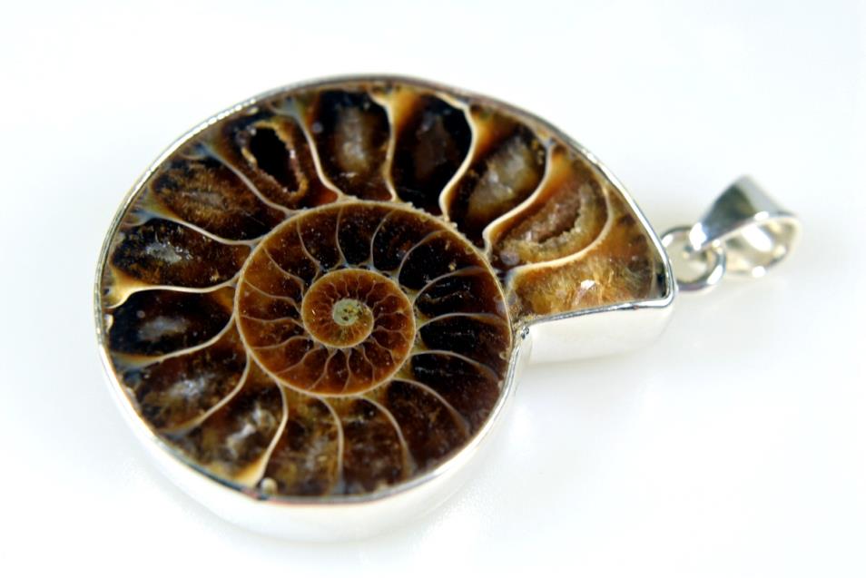 Ammonite Pendant Silver-Set Cut Half 10grams