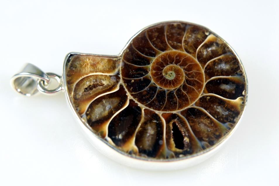 Ammonite Pendant Silver-Set Cut Half 10grams