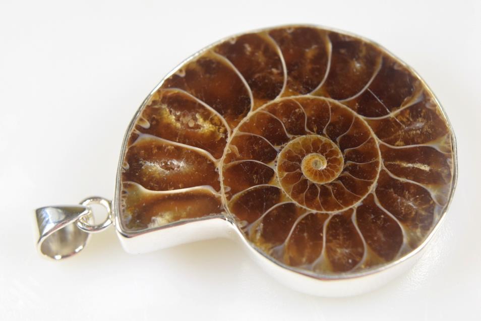 Ammonite Pendant Silver-Set Cut Half 14grams