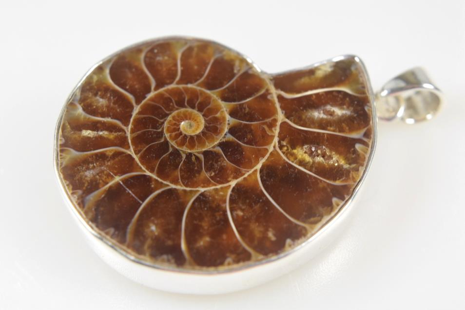 Ammonite Pendant Silver-Set Cut Half 14grams