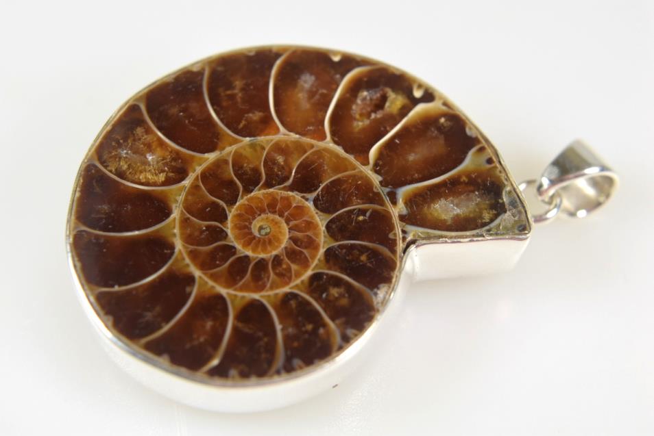 Ammonite Pendant Silver-Set Cut Half 13.1grams