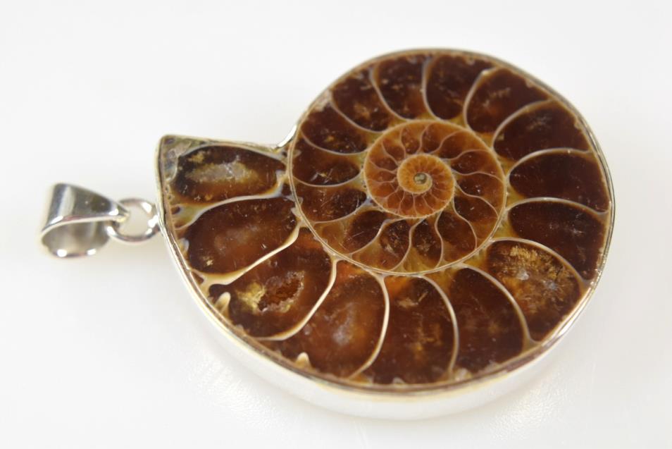 Ammonite Pendant Silver-Set Cut Half 13.1grams