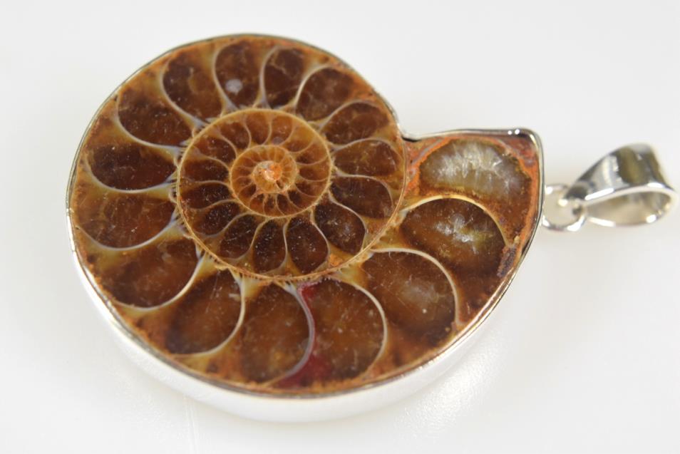 Ammonite Pendant Silver-Set Cut Half 14.2grams