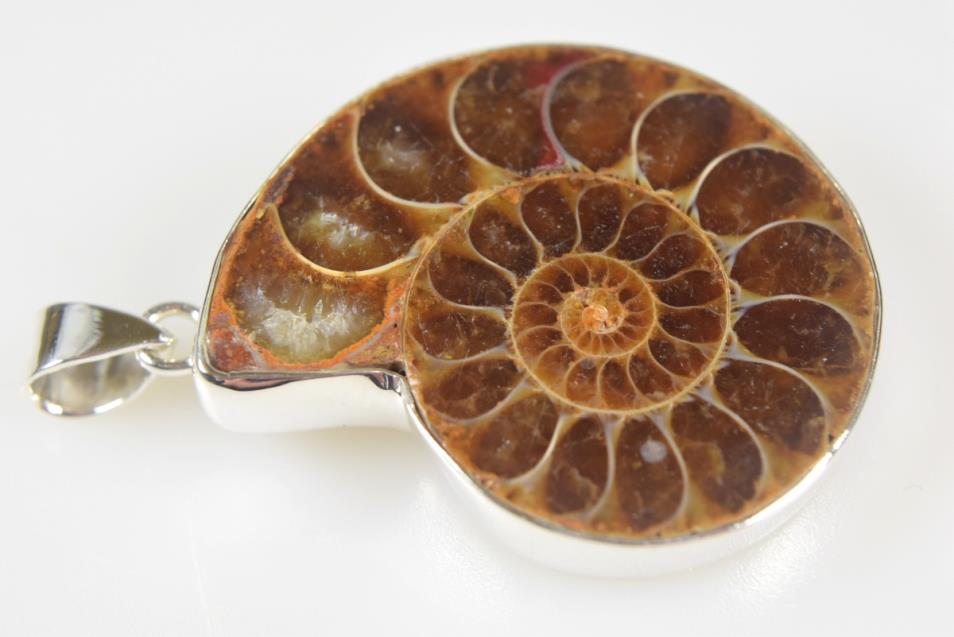 Ammonite Pendant Silver-Set Cut Half 14.2grams