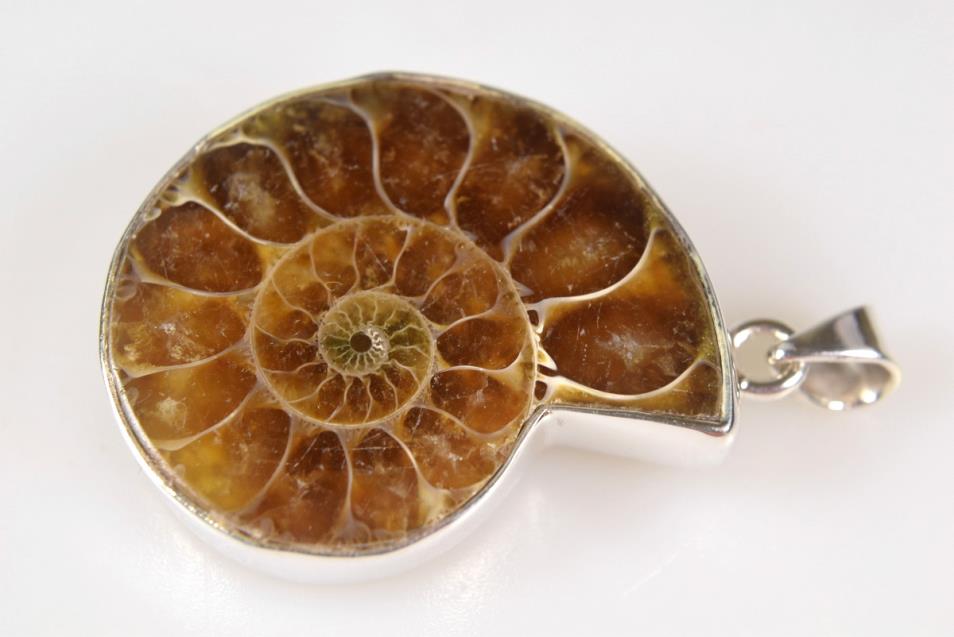 Ammonite Pendant Silver-Set Cut Half 12.4grams