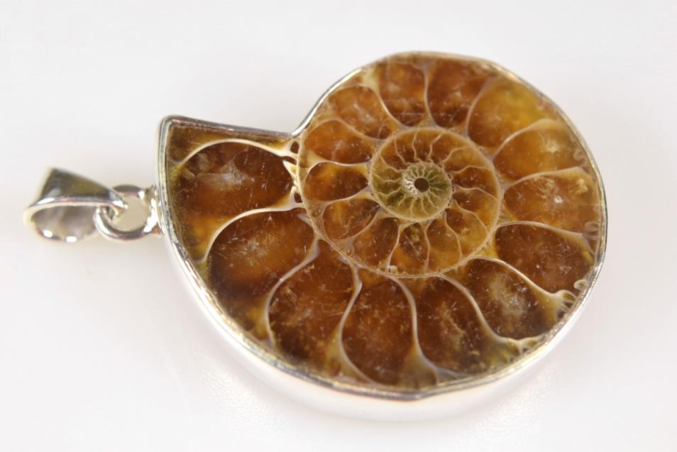 Ammonite Pendant Silver-Set Cut Half 12.4grams