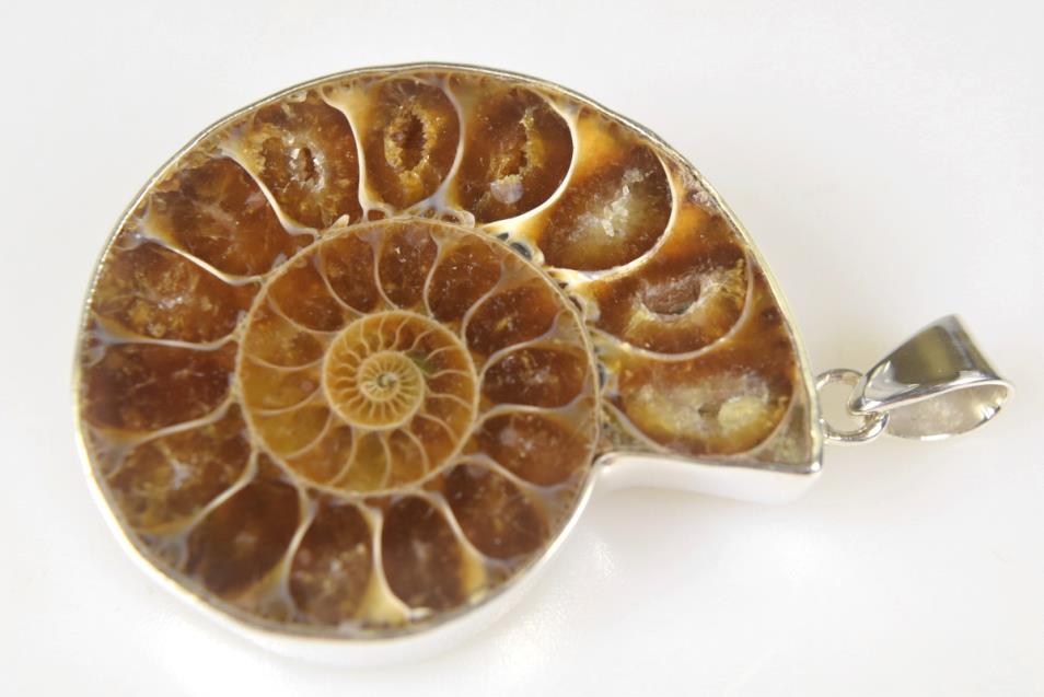 Ammonite Pendant Silver-Set Cut Half 15.2grams