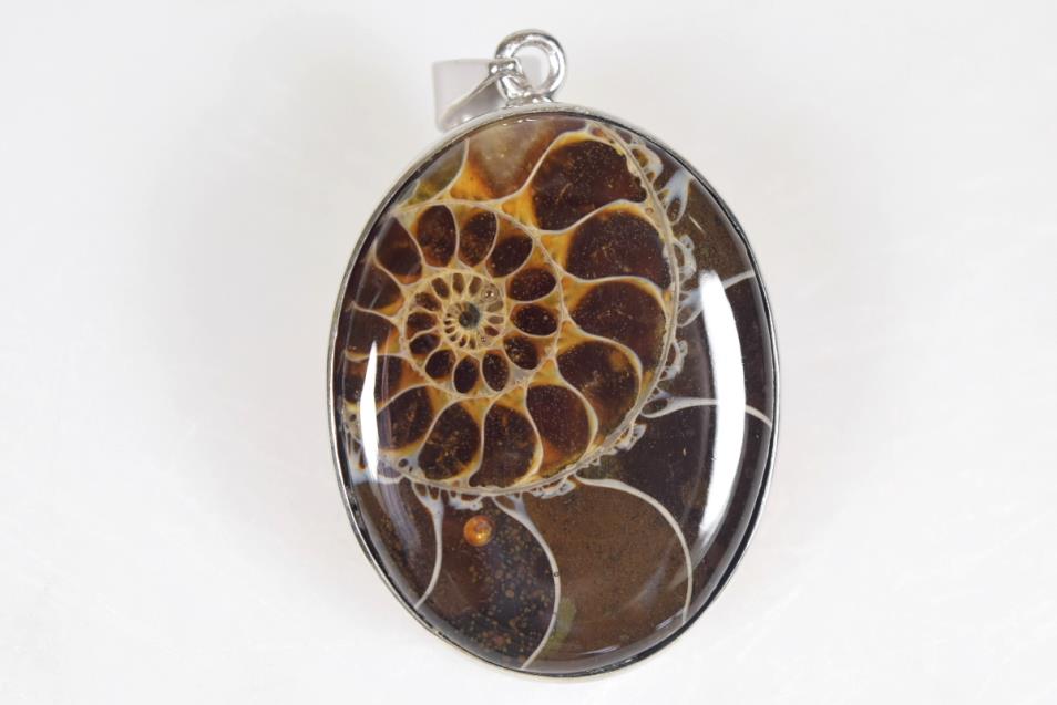 Ammonite Oval Cabochon Pendant 3.6cm