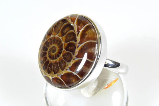 Ammonite Cabochon Ring UK Q