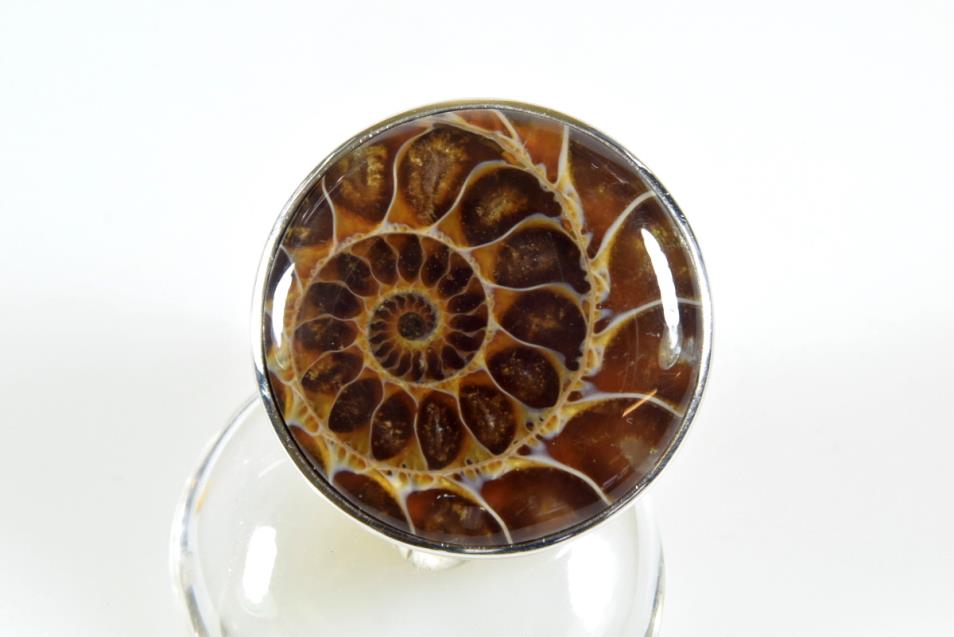 Ammonite Cabochon Ring UK Q