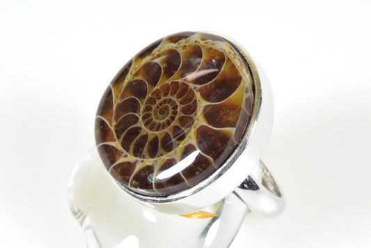 Ammonite Cabochon Ring UK O