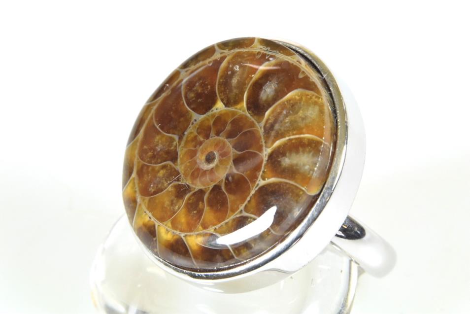 Ammonite Cabochon Ring US 8