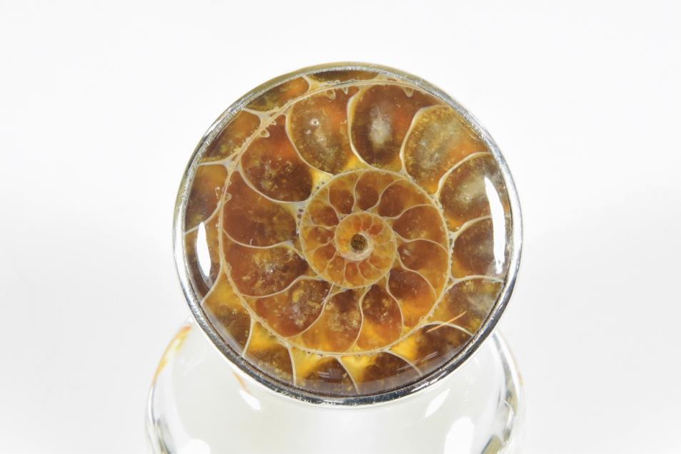 Ammonite Cabochon Ring US 8